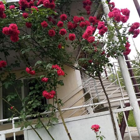 Hotel Mti House à Kvesheti Extérieur photo